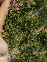 A1744 - 女神的最佳交易 My Best Deal v3.4.20240929-PC+安卓 免安装中文版[6.72GB]