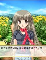 292 - 车轮之国向日葵的少女 车轮の国向日葵の少女简体中文汉化硬盘版网盘高速下载地址