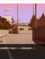 893 - 妹快乐堕落：被哥哥强行监禁嘿嘿后！妹快楽堕ち～お兄ちゃんに無理やりハメられてから～ ADV动态CG完整汉化硬盘版