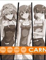 537 - 狂欢节carnival カーニバル汉化硬盘去广告纯净版