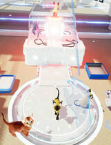 小猫咪 Kittend 安装中文版[2.89GB]【B3367】