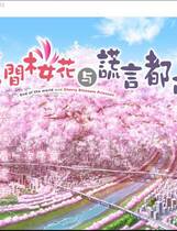 347 -  隙间樱花与谎言都市 すきま桜とうその都会 简体中文汉化硬盘版网盘高速下载地址