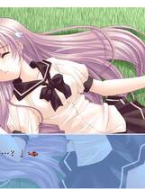 234 - 梦之翼 梦のつばさ Fate of Heart 简体中文汉化硬盘版网盘高速下载地址