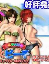 021 - 姓感沙滩2最终完美典藏版 汉化+解码去码+CG存档+MOD+特典+攻略