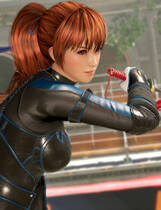 A1368 - 死或生6 生或死6 Dead or Alive6 v1.22.19-20240527+整合全部461个DLC+全人物R18MOD+附解锁存档 免安装中文版[58.7GB]